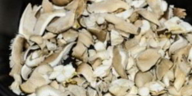 Рецепт жульена из вешенок