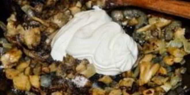 Рецепт жульена из вешенок