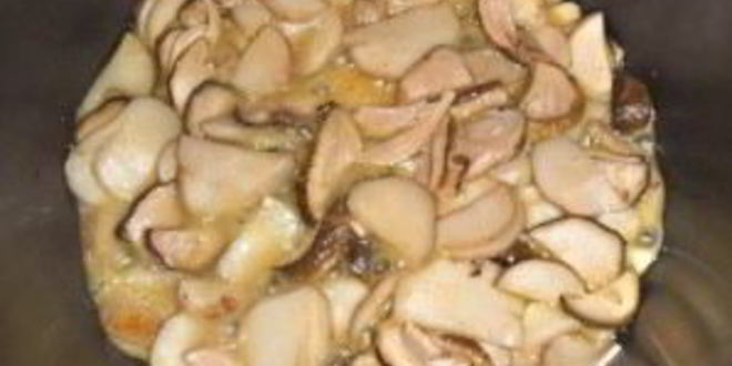 Рецепт жульена с курицей в мультиварке