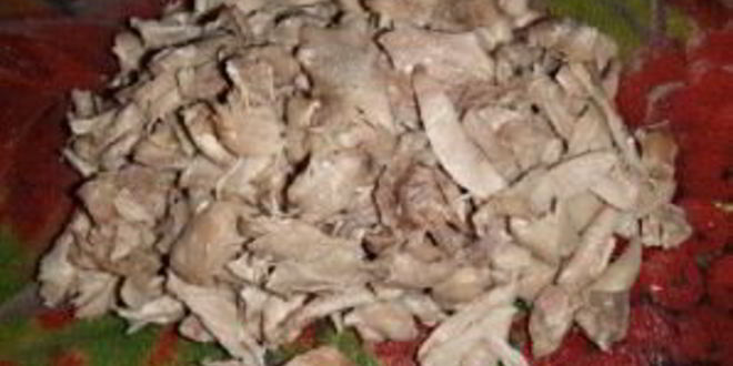 Рецепт жульена с курицей в мультиварке