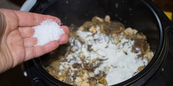 Рецепт жульена в мультиварке с курицей и грибами