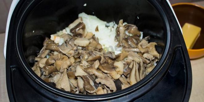Рецепт жульена в мультиварке с курицей и грибами