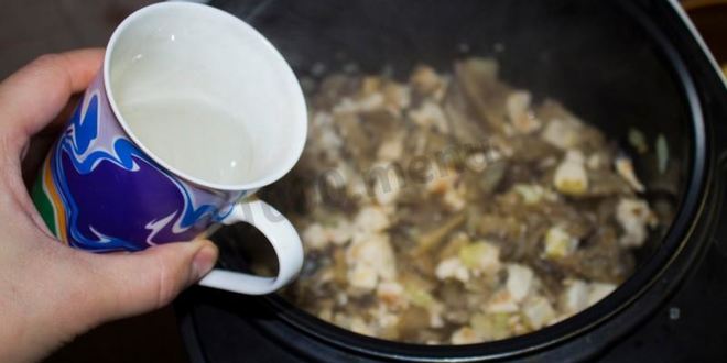 Рецепт жульена в мультиварке с курицей и грибами